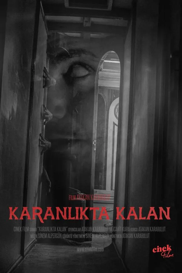 Karanlıkta Kalan